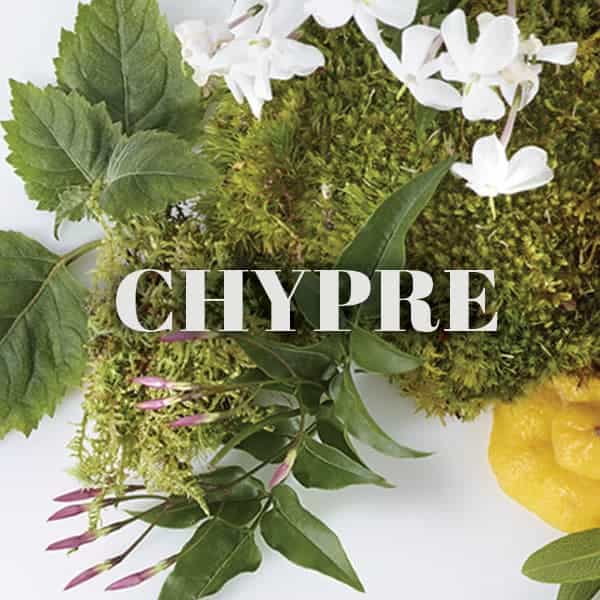 chypre